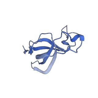 20207_6owg_p_v1-3
Structure of a synthetic beta-carboxysome shell, T=4