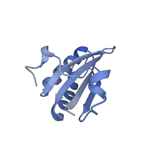 20207_6owg_q_v1-2
Structure of a synthetic beta-carboxysome shell, T=4