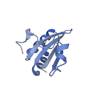 20207_6owg_q_v1-3
Structure of a synthetic beta-carboxysome shell, T=4