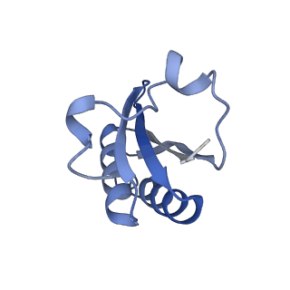 20207_6owg_r_v1-2
Structure of a synthetic beta-carboxysome shell, T=4