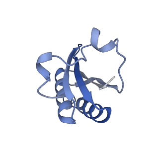 20207_6owg_r_v1-3
Structure of a synthetic beta-carboxysome shell, T=4