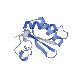 20207_6owg_s_v1-2
Structure of a synthetic beta-carboxysome shell, T=4