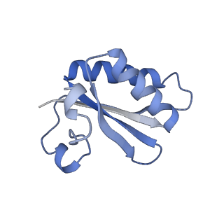 20207_6owg_s_v1-3
Structure of a synthetic beta-carboxysome shell, T=4