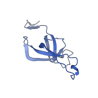 20207_6owg_t_v1-2
Structure of a synthetic beta-carboxysome shell, T=4