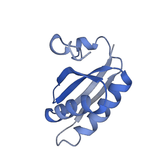 20207_6owg_u_v1-2
Structure of a synthetic beta-carboxysome shell, T=4
