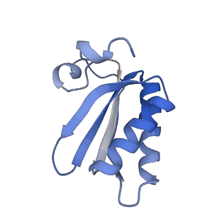 20207_6owg_v_v1-3
Structure of a synthetic beta-carboxysome shell, T=4