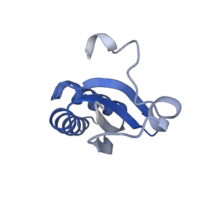 20207_6owg_w_v1-2
Structure of a synthetic beta-carboxysome shell, T=4