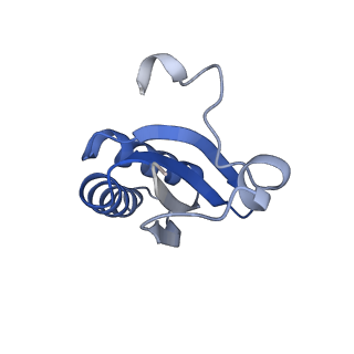 20207_6owg_w_v1-3
Structure of a synthetic beta-carboxysome shell, T=4