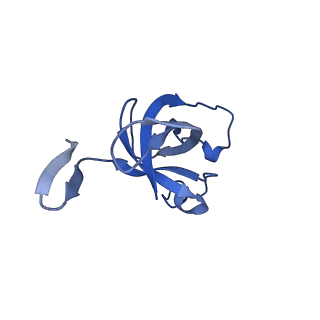 20207_6owg_x_v1-3
Structure of a synthetic beta-carboxysome shell, T=4