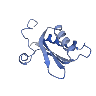 20207_6owg_y_v1-2
Structure of a synthetic beta-carboxysome shell, T=4