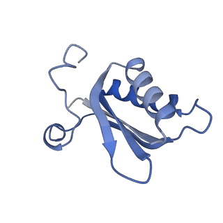 20207_6owg_y_v1-3
Structure of a synthetic beta-carboxysome shell, T=4