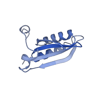 20207_6owg_z_v1-3
Structure of a synthetic beta-carboxysome shell, T=4