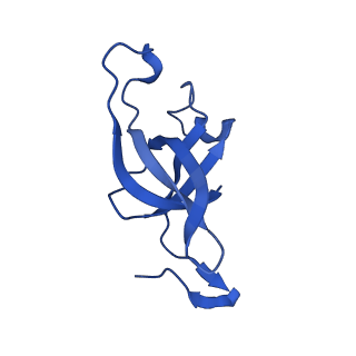 20208_6owf_0_v1-2
Structure of a synthetic beta-carboxysome shell, T=3
