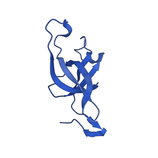 20208_6owf_0_v1-3
Structure of a synthetic beta-carboxysome shell, T=3