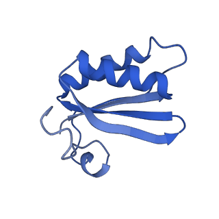 20208_6owf_1_v1-2
Structure of a synthetic beta-carboxysome shell, T=3