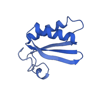 20208_6owf_1_v1-3
Structure of a synthetic beta-carboxysome shell, T=3