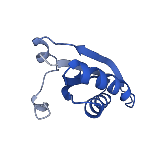 20208_6owf_2_v1-2
Structure of a synthetic beta-carboxysome shell, T=3