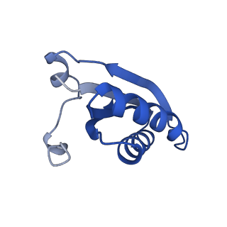 20208_6owf_2_v1-3
Structure of a synthetic beta-carboxysome shell, T=3