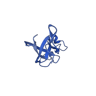 20208_6owf_3_v1-2
Structure of a synthetic beta-carboxysome shell, T=3