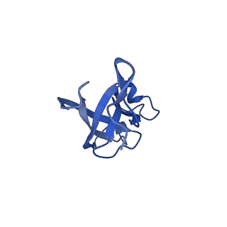 20208_6owf_3_v1-3
Structure of a synthetic beta-carboxysome shell, T=3