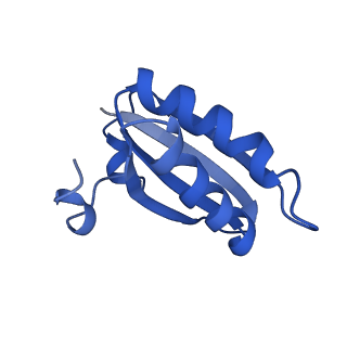 20208_6owf_4_v1-2
Structure of a synthetic beta-carboxysome shell, T=3