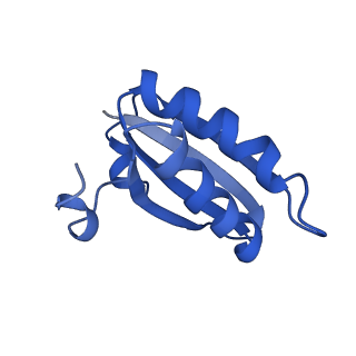 20208_6owf_4_v1-3
Structure of a synthetic beta-carboxysome shell, T=3