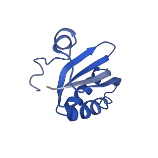 20208_6owf_5_v1-2
Structure of a synthetic beta-carboxysome shell, T=3