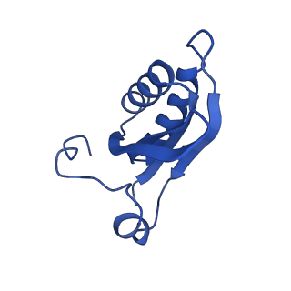 20208_6owf_7_v1-3
Structure of a synthetic beta-carboxysome shell, T=3