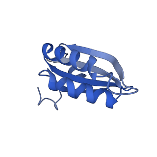20208_6owf_8_v1-2
Structure of a synthetic beta-carboxysome shell, T=3