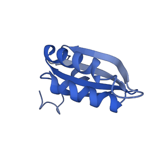 20208_6owf_8_v1-3
Structure of a synthetic beta-carboxysome shell, T=3