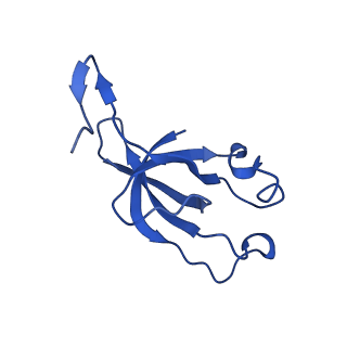 20208_6owf_9_v1-2
Structure of a synthetic beta-carboxysome shell, T=3
