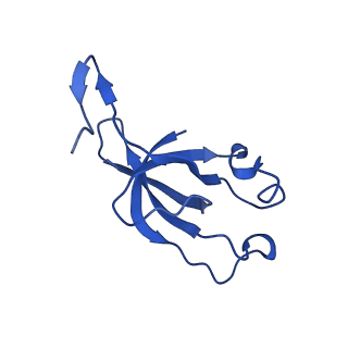 20208_6owf_9_v1-3
Structure of a synthetic beta-carboxysome shell, T=3