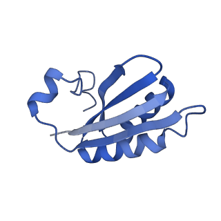 20208_6owf_A0_v1-2
Structure of a synthetic beta-carboxysome shell, T=3