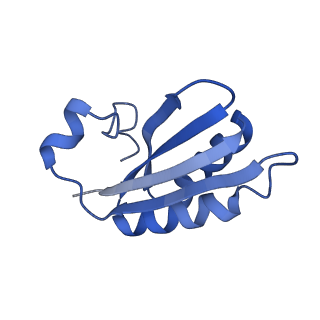 20208_6owf_A0_v1-3
Structure of a synthetic beta-carboxysome shell, T=3