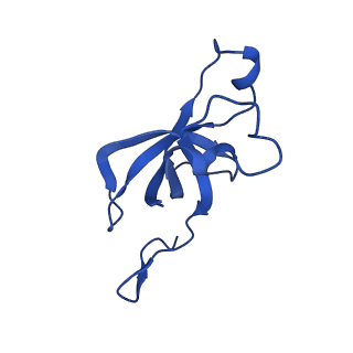 20208_6owf_A1_v1-2
Structure of a synthetic beta-carboxysome shell, T=3