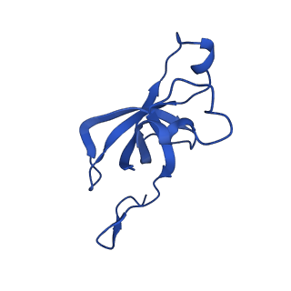 20208_6owf_A1_v1-3
Structure of a synthetic beta-carboxysome shell, T=3