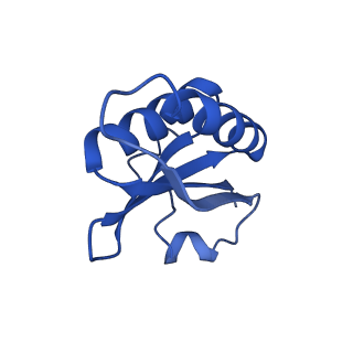 20208_6owf_A2_v1-2
Structure of a synthetic beta-carboxysome shell, T=3