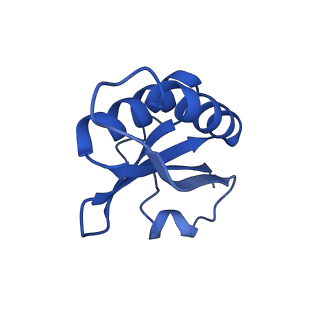 20208_6owf_A2_v1-3
Structure of a synthetic beta-carboxysome shell, T=3