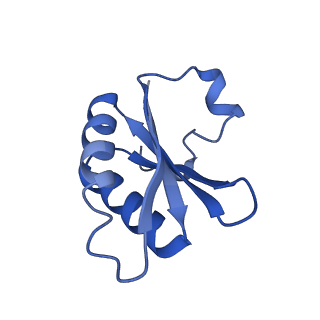 20208_6owf_A3_v1-2
Structure of a synthetic beta-carboxysome shell, T=3