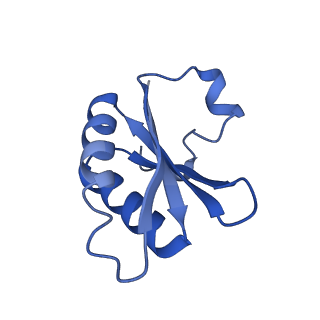 20208_6owf_A3_v1-3
Structure of a synthetic beta-carboxysome shell, T=3