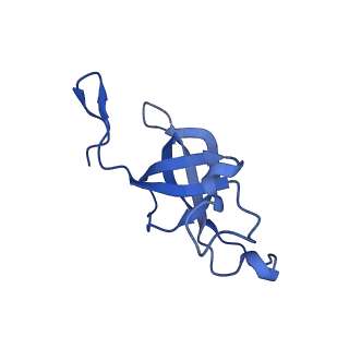 20208_6owf_A4_v1-2
Structure of a synthetic beta-carboxysome shell, T=3