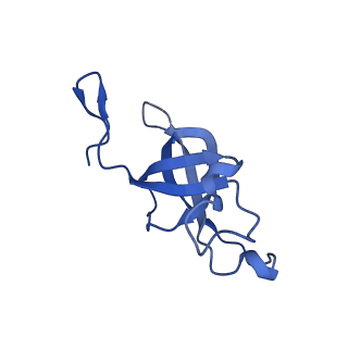 20208_6owf_A4_v1-3
Structure of a synthetic beta-carboxysome shell, T=3