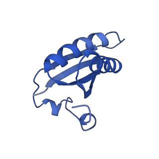 20208_6owf_A5_v1-2
Structure of a synthetic beta-carboxysome shell, T=3