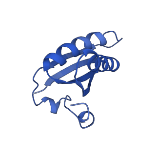 20208_6owf_A5_v1-3
Structure of a synthetic beta-carboxysome shell, T=3