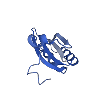 20208_6owf_A6_v1-2
Structure of a synthetic beta-carboxysome shell, T=3