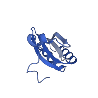 20208_6owf_A6_v1-3
Structure of a synthetic beta-carboxysome shell, T=3