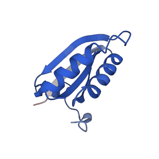 20208_6owf_A9_v1-2
Structure of a synthetic beta-carboxysome shell, T=3