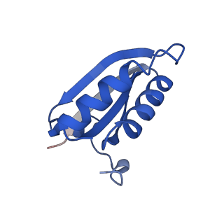 20208_6owf_A9_v1-3
Structure of a synthetic beta-carboxysome shell, T=3