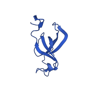 20208_6owf_AA_v1-3
Structure of a synthetic beta-carboxysome shell, T=3