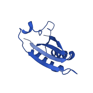 20208_6owf_AB_v1-2
Structure of a synthetic beta-carboxysome shell, T=3